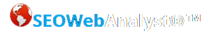 seo web analyst logo